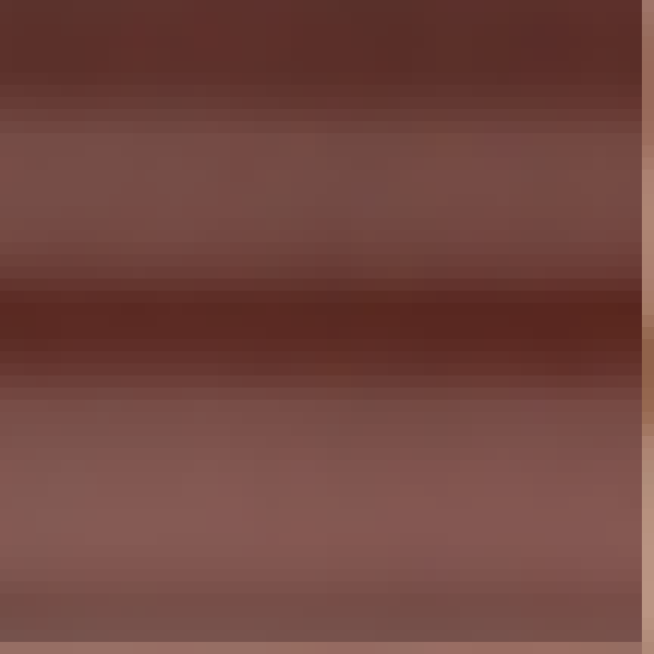 MALU WILZ DUO EYEBROW STYLER